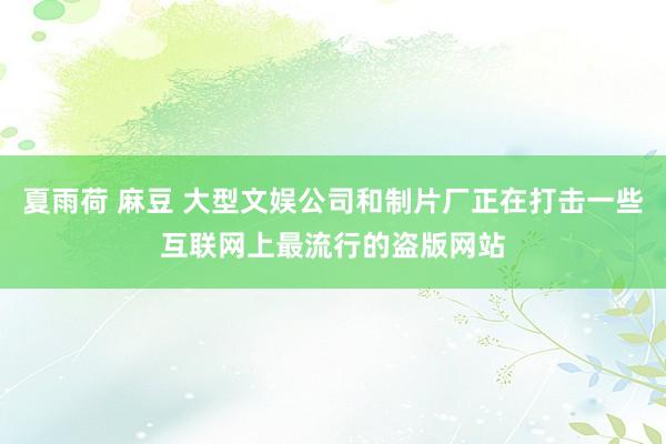 夏雨荷 麻豆 大型文娱公司和制片厂正在打击一些互联网上最流行的盗版网站