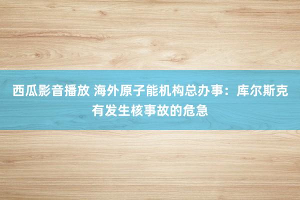 西瓜影音播放 海外原子能机构总办事：库尔斯克有发生核事故的危急