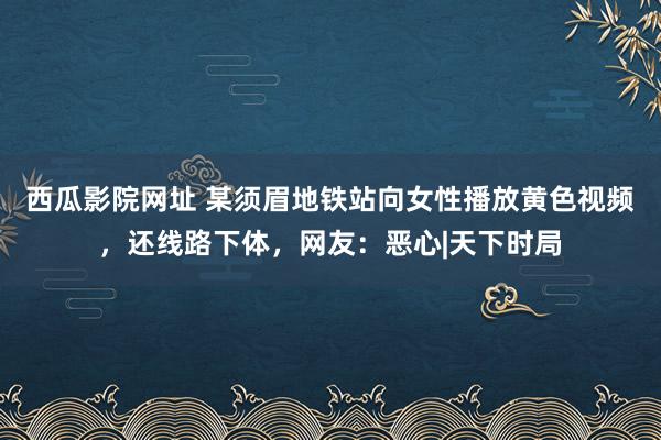 西瓜影院网址 某须眉地铁站向女性播放黄色视频，还线路下体，网友：恶心|天下时局